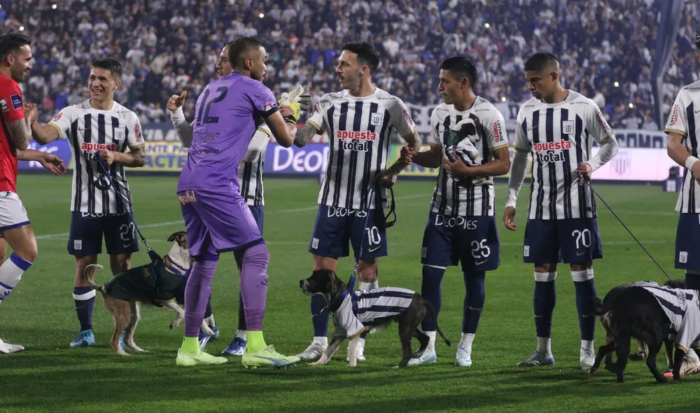 Alianza Lima es el único puntero del Torneo Clausura de la Liga 1. Foto: GLR/Luis Jiménez
