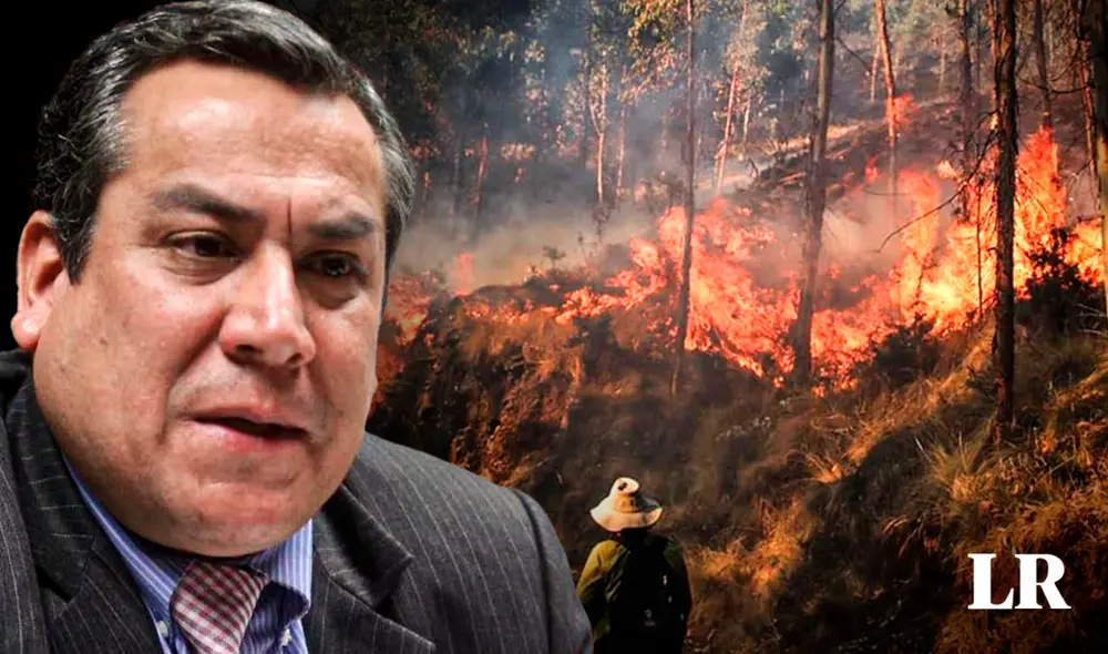 Incendios forestales vienen afectando a la flora y fauna al interior del país. Foto: composición LR/Andina