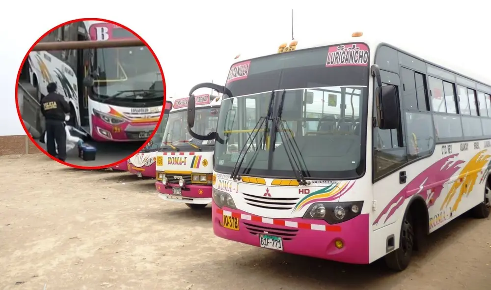 Los buses de la empresa Consorcio Roma son víctimas de extorsiones y cobro de cupos. Foto: difusión/Consorcio Roma. Los buses de la empresa Consorcio Roma son víctimas de extorsiones y cobro de cupos. Foto: difusión/Consorcio Roma.