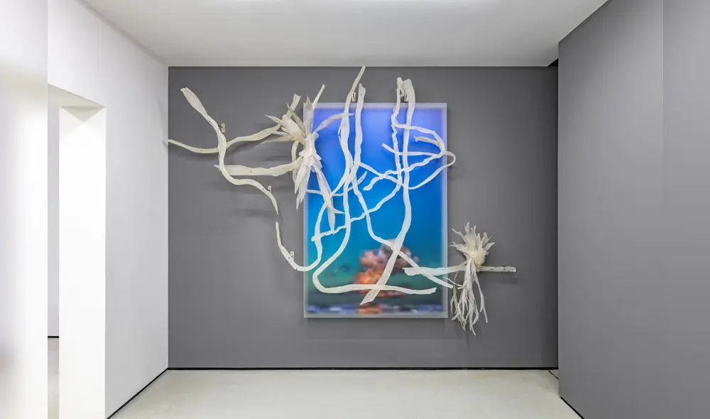 "Reconocimiento". Foto: Renzo Rebagliati.