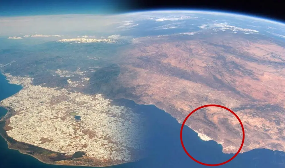 Situados en El Ejido, los invernaderos generan anualmente entre 2,5 y 3,5 millones de toneladas de frutas y verduras. Foto: composición LR/Europa Press