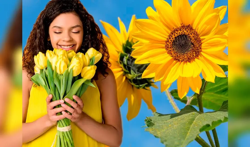 Revisa todos los detalles sobre el 21 de septiembre y las flores amarillas. Foto: Composición LR/Andina.