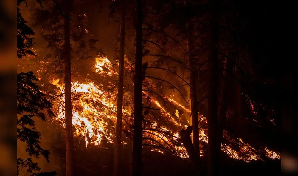 Los incendios de los bosques de Geat Falls están presentes en varios proyectos narrativos de Richard Ford. Los incendios de los bosques de Geat Falls están presentes en varios proyectos narrativos de Richard Ford.