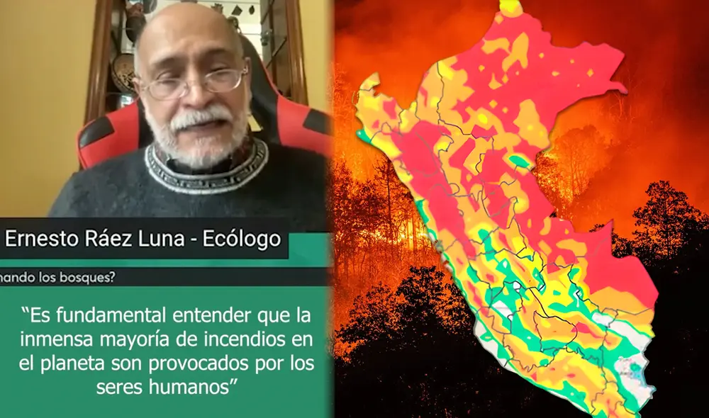 Los agricultores en Perú recurren a quemas controladas con el objetivo de renovar pastizales para sus animales y desbrozar terrenos agrícolas, pero estas prácticas resultan peligrosas. Foto: composición LR/captura Tiktok