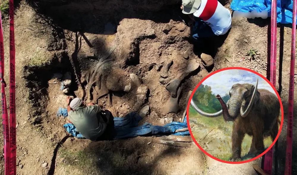 Los mastodontes son especies muy diferentes a los mamuts. Foto: Musuq Pacha/Palaeos/YouTube