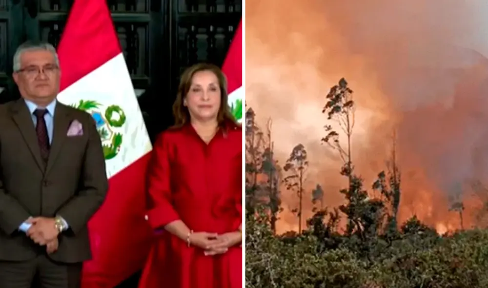 La presidenta Dina Boluarte destacó que este año se han registrado 238 incendios, aunque el Serfor reportó más de 4,000 hasta julio de 2024. Foto: composición LR/Canal N