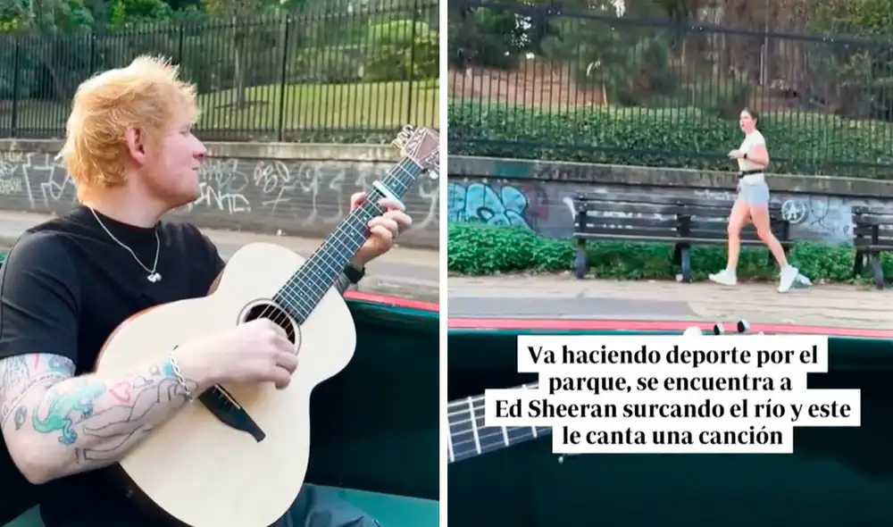 Miles de usuarias se emocionaron al ver la tierna escena. Foto: composición LR/TikTok/@abc.es