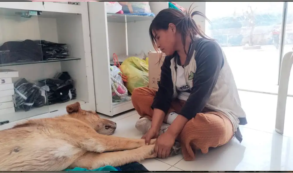 El incidente ocurrió el último sábado 14 de septiembre. Foto: Leonela Aquino/La República