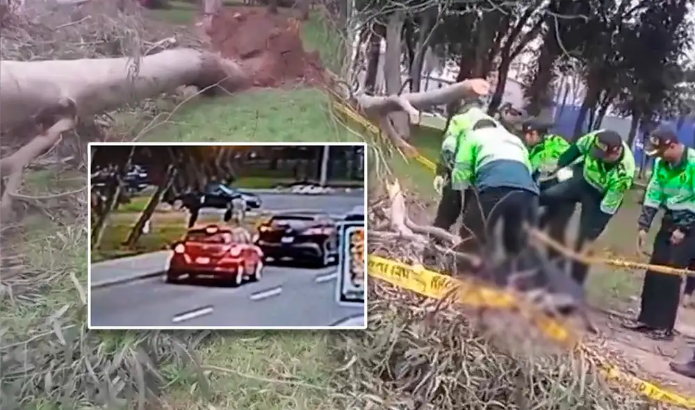 El hombre trabajaba como operario en una fábrica de bolsas de plástico. Foto: composición LR/América TV El hombre trabajaba como operario en una fábrica de bolsas de plástico. Foto: composición LR/América TV
