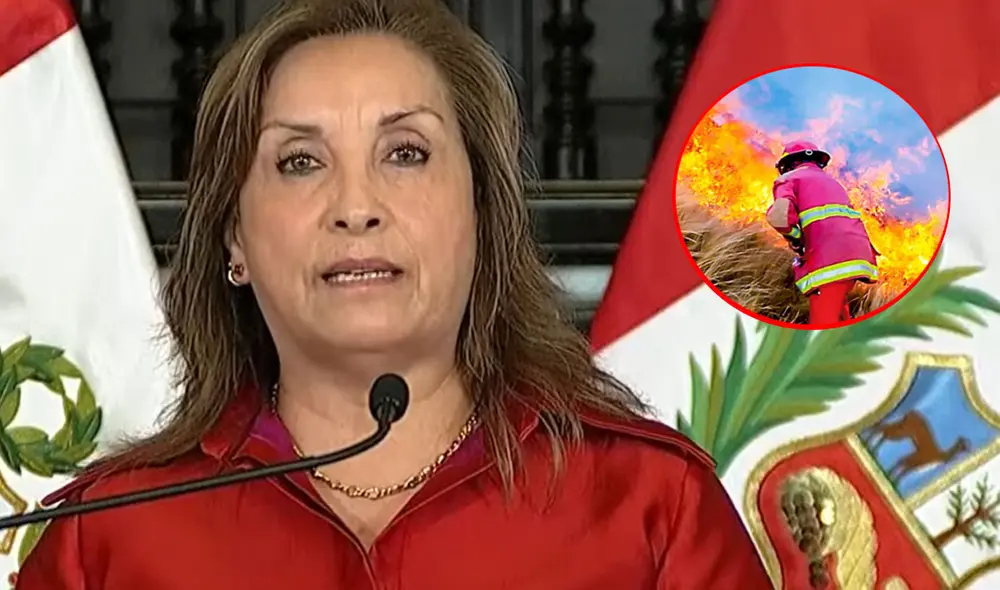 Hecho generó diversas reacciones en redes. Foto: composición LR/captura TV Perú - Video: TV Perú Hecho generó diversas reacciones en redes. Foto: composición LR/captura TV Perú - Video: TV Perú