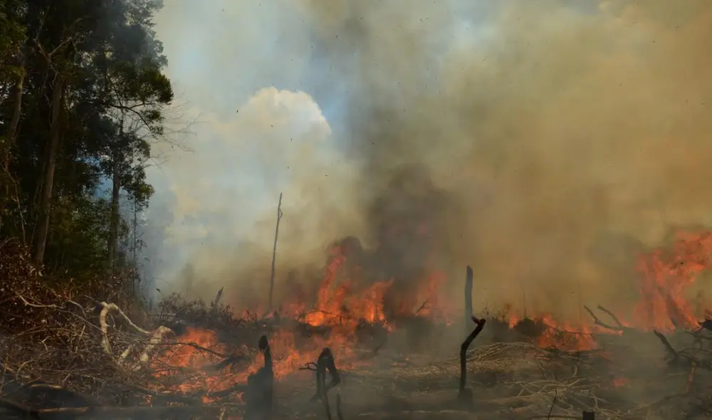 En Brasil se registra la mayor cantidad de incendios en Sudamérica, en los últimos meses. Foto: Carlos Pinto En Brasil se registra la mayor cantidad de incendios en Sudamérica, en los últimos meses. Foto: Carlos Pinto