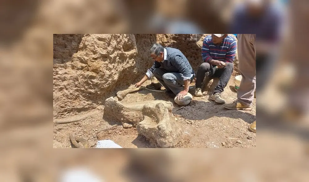 El hallazgo de restos fósiles de mastodonte podrían convertir a Chambará en una de las más importantes del Perú.Foto: Ingemmet