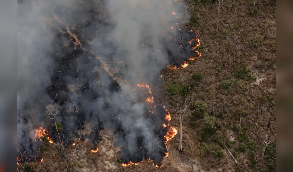 Incendios forestales en Amazonas dejan 7 muertos y arrasan con hábitat de oso andino