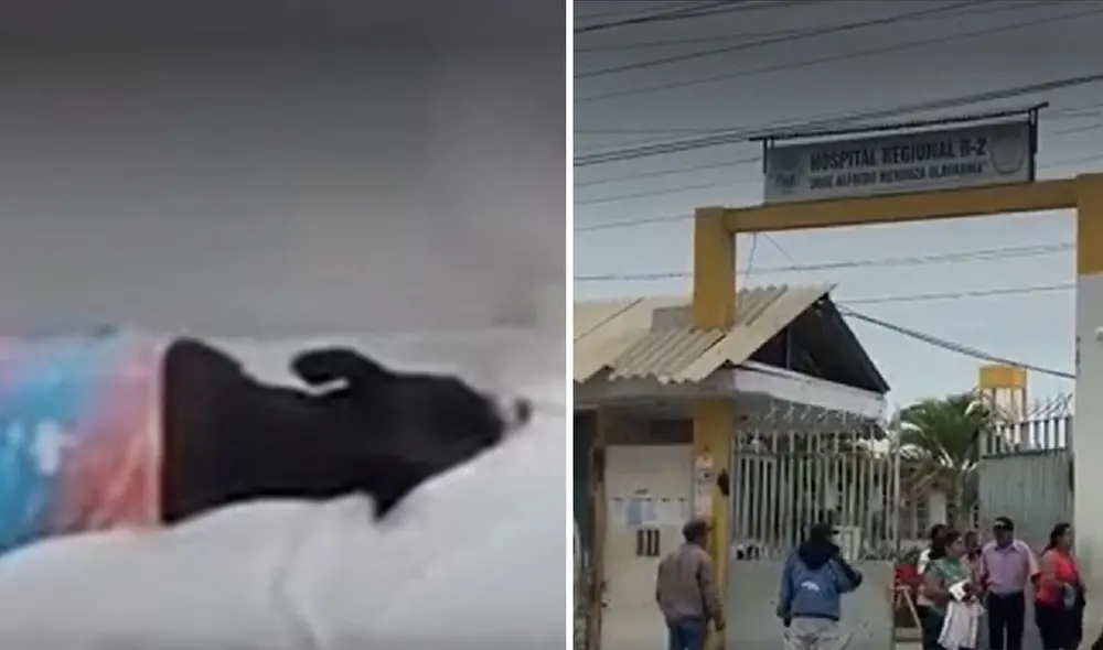 Investigan a doctora que llevaba a perro a su consultorio de hospital. Foto: Captura de pantalla América TV