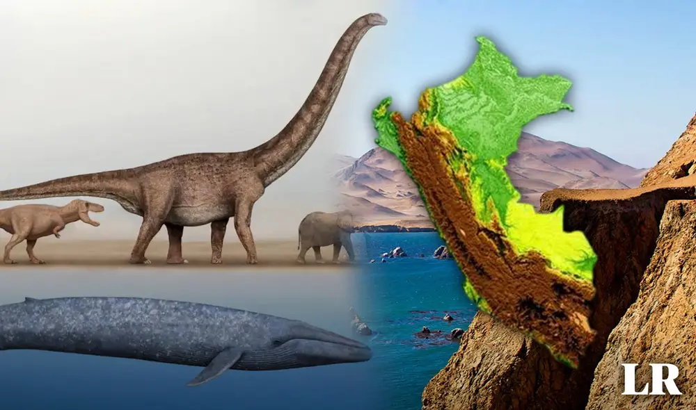 La población de ballenas azules ha disminuido drásticamente, pasando de 125.000 en 1926 a solo 3.000 en 2018. Foto: composición LR/difusión