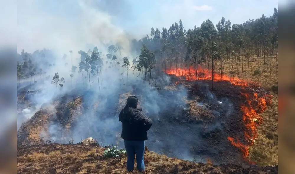 Incendios en la región La Libertad dejaron un saldo negativo de más de 1000 hectáreas de cobertura vegetal destruidas. Foto: Andina Incendios en la región La Libertad dejaron un saldo negativo de más de 1000 hectáreas de cobertura vegetal destruidas. Foto: Andina