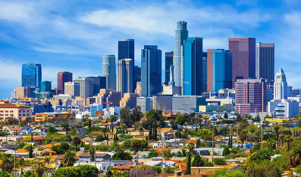 La proliferación de ratas en Estados Unidos representa un grave riesgo para la salud pública, ya que son portadoras de diversas enfermedades infecciosas. Foto: ELLE