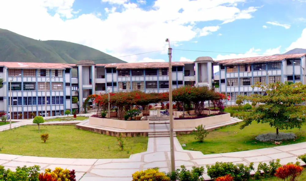La docente de Huánuco también ha sido inhabilitada de desempeñar cualquier cargo público durante 2 años. Foto: Unheval