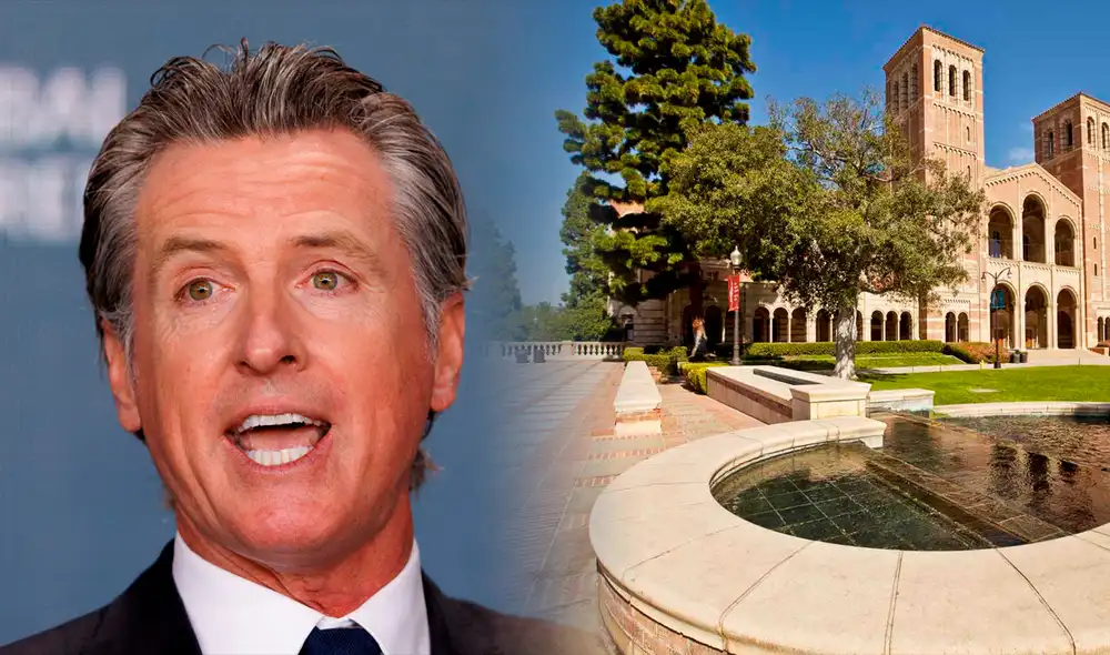 Gavin Newsom no dejará que los inmigrantes puedan trabajar en universidades públicas de California. Foto: Composición LR Gavin Newsom no dejará que los inmigrantes puedan trabajar en universidades públicas de California. Foto: Composición LR