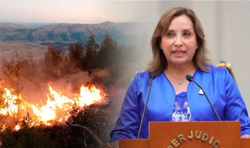 Boluarte propone la creación de brigadas para combatir los incendios forestales. Foto: composición LR