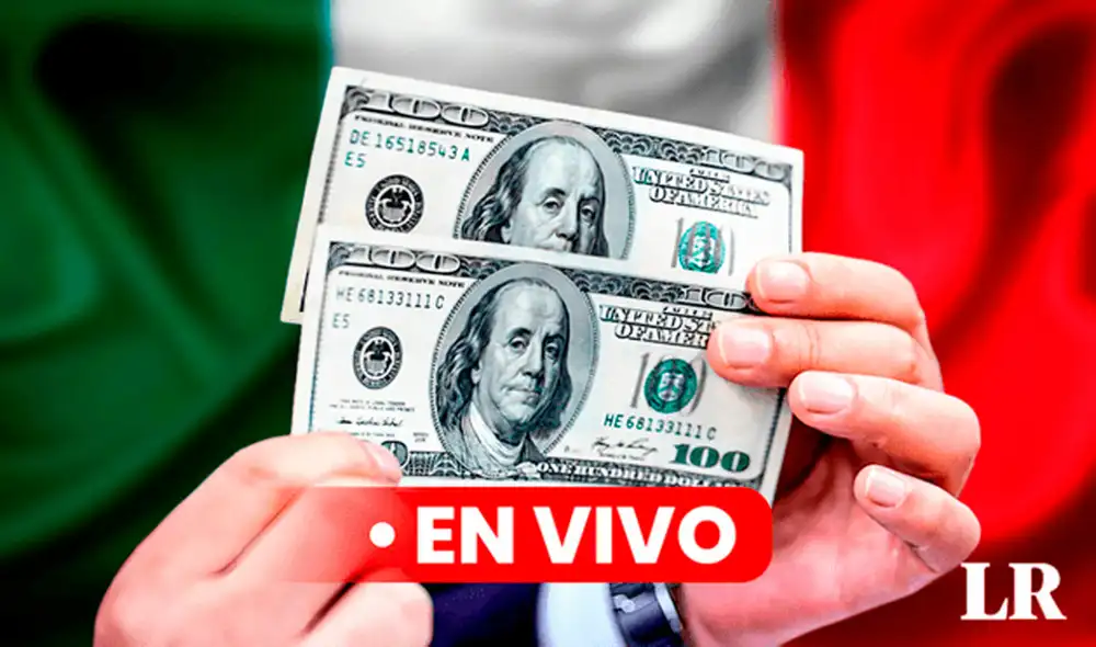 Precio del dólar en México hoy, 27 de septiembre de 2024, según Banco de México. Foto: Composición LR/CDN/Freepik Precio del dólar en México hoy, 27 de septiembre de 2024, según Banco de México. Foto: Composición LR/CDN/Freepik