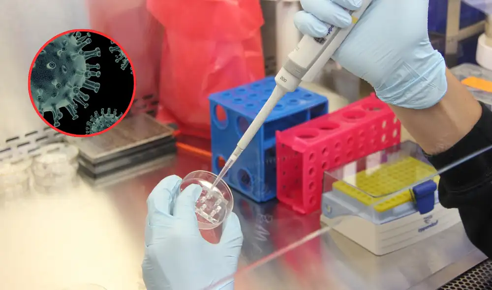 El objetivo de la coalición es contener el brote de virus para prevenir futuras pandemias.Foto: Composición La República