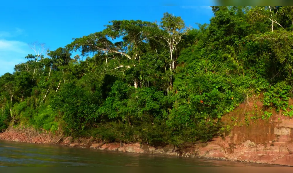 Según especialista es momento de actuar por el futuro de la biodiversidad. Fuente: Difusión