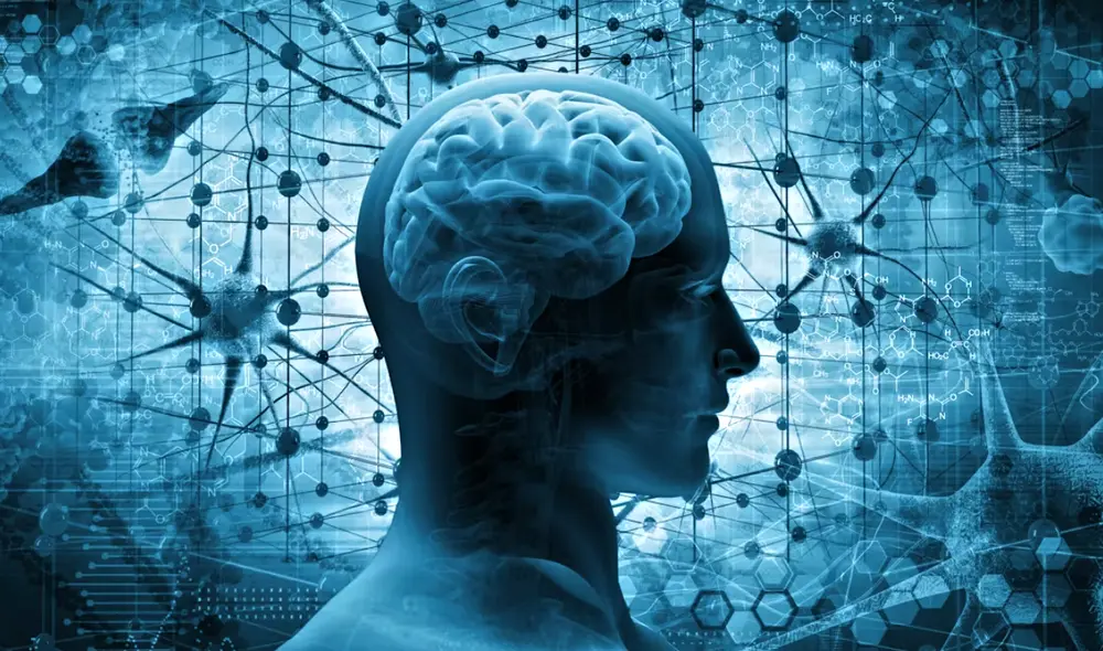 Esta teoría es una propuesta audaz que combina principios de física teórica con una visión espiritual del universo. Foto: adike Esta teoría es una propuesta audaz que combina principios de física teórica con una visión espiritual del universo. Foto: adike