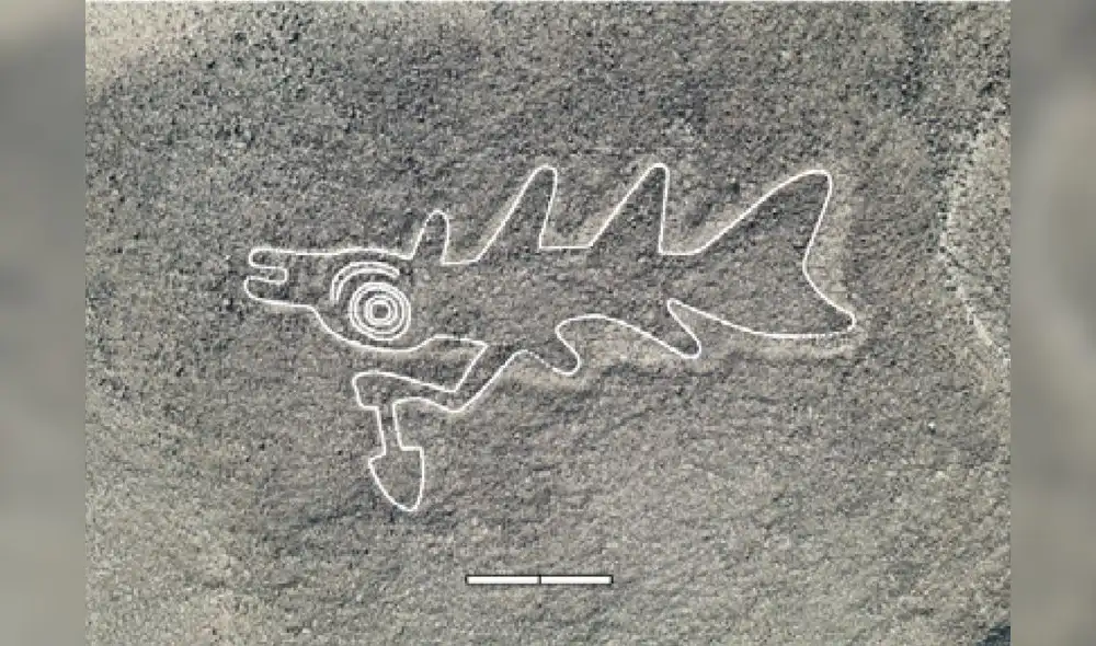 Algunas figuras representan a animales y otras a seres humanos. Difusión