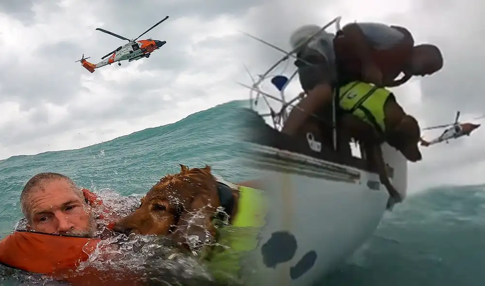 Una historia conmovedora sucedió en el océano luego del desastre ocurrido por el huracán Helene. Foto: composición LR/difusión Una historia conmovedora sucedió en el océano luego del desastre ocurrido por el huracán Helene. Foto: composición LR/difusión