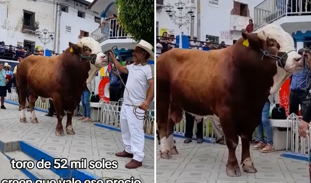 ¿Vale la precio? Clip generó debate en redes. Foto: composición LR/ TikTok - Video: TikTok