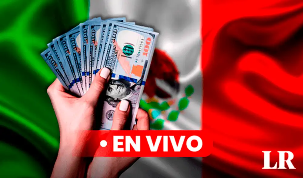 Consulta el Precio del dólar en México hoy, 1 de octubre de 2024, según Banco de México (Banxico). Foto: Composición LR/CDN/Freepik Consulta el Precio del dólar en México hoy, 1 de octubre de 2024, según Banco de México (Banxico). Foto: Composición LR/CDN/Freepik