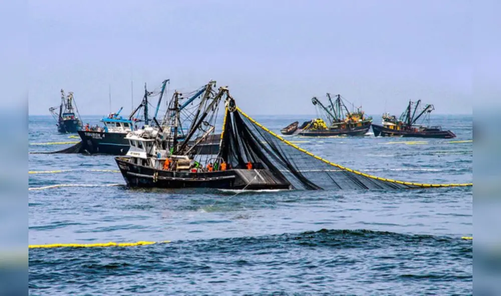 Pesca, tras cuatro meses seguidos de crecimiento, volvió a caer. Fuente: Andina Pesca, tras cuatro meses seguidos de crecimiento, volvió a caer. Fuente: Andina