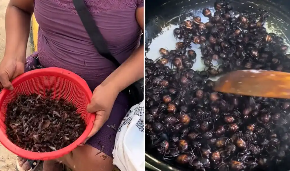 "Tiene sabor y textura similar a la cachita andina", reaccionaron usuarios. Foto: composición LR/ TikTok - Video: TikTok