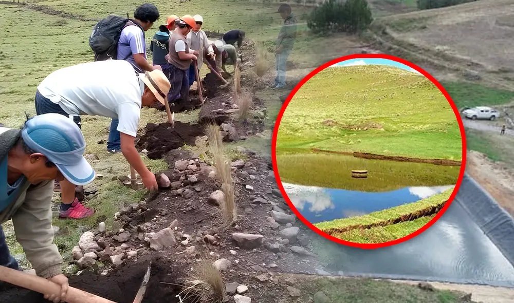 La siembra y cosecha de agua es una técnica ancestral que almacena agua de lluvia en zanjas y reservorios, ayudando a combatir la sequía en zonas rurales del Perú. Foto: composición LR/difusión