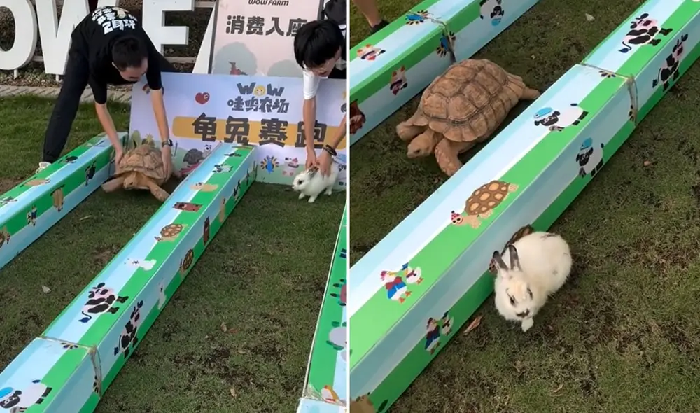 "El mejor live action", reaccionaron usuarios sobre clip viral. Foto: composición LR/ TikTok - Video: TikTok "El mejor live action", reaccionaron usuarios sobre clip viral. Foto: composición LR/ TikTok - Video: TikTok