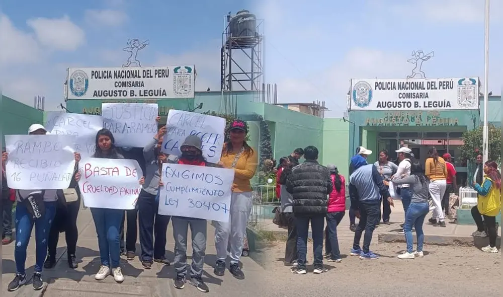 Ciudadanos salieron a protestar para exigir justicia a favor de perro Rambo. Foto: composición LR/Liz Ferrer