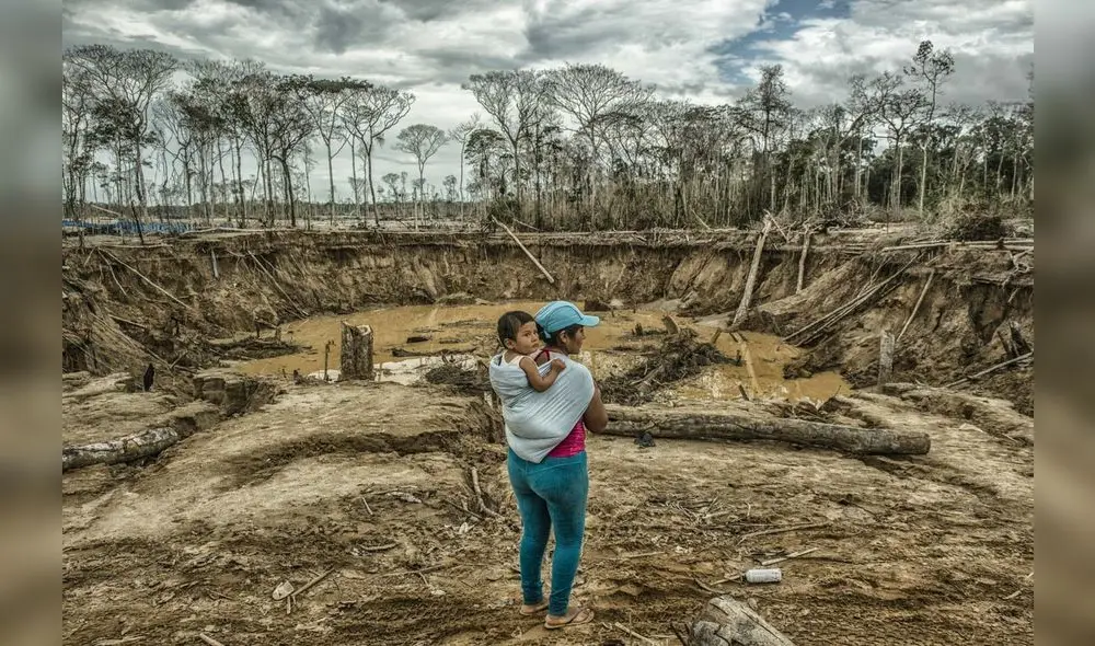 La minería ilegal ha afectado más de 2 millones 491.390 ha, con la deforestación de 115.000 ha de bosques. Foto: LR La minería ilegal ha afectado más de 2 millones 491.390 ha, con la deforestación de 115.000 ha de bosques. Foto: LR