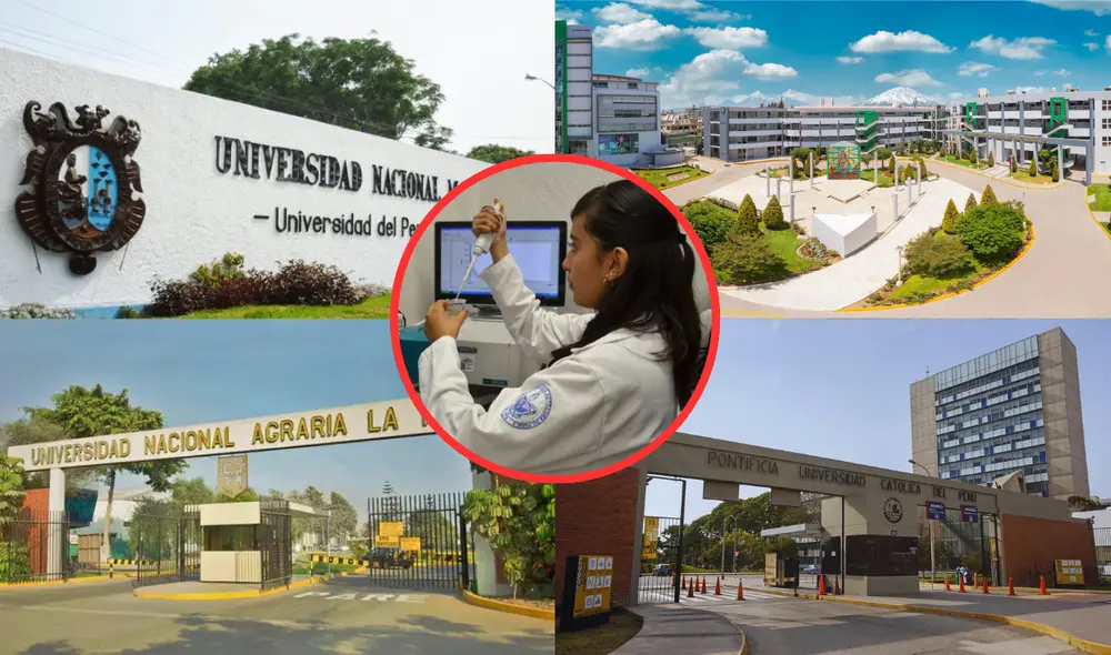 Los egresados con experiencia ganan más de S/6.000 mensuales. Foto: composición LR/UNMSM/UCSM/UNALM/PUCP/Universidad de Puebla México