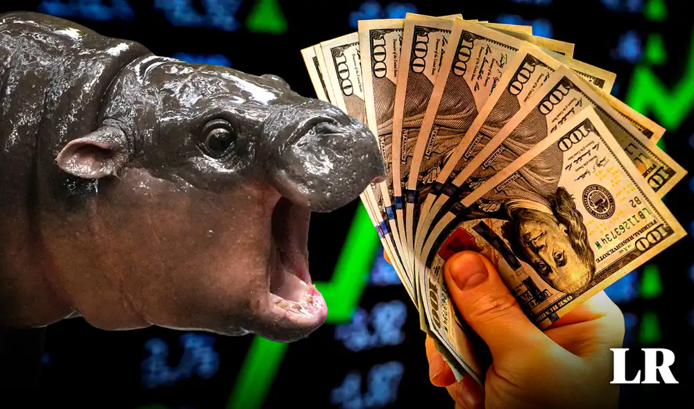 Moo Deng se hizo viral con un video en redes sociales que supera los 5 millones de vistas. Foto: composición LR/ Gerson Cardoso/New York Post