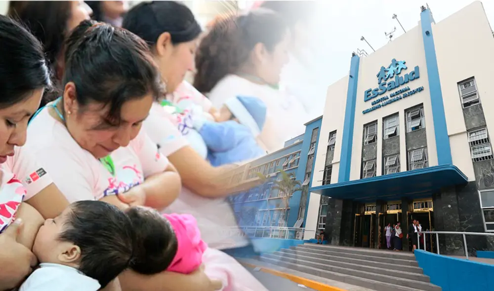 El bono por lactancia es un pago único de S/ 820, por niño que se da luz. Foto: composición LR/Andina/X