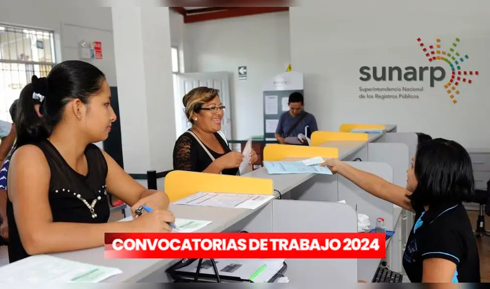 La Sunarp ha puesto a disposición un total de 50 plazas para aquellos que quieran realizar prácticas. Foto: Andina La Sunarp ha puesto a disposición un total de 50 plazas para aquellos que quieran realizar prácticas. Foto: Andina