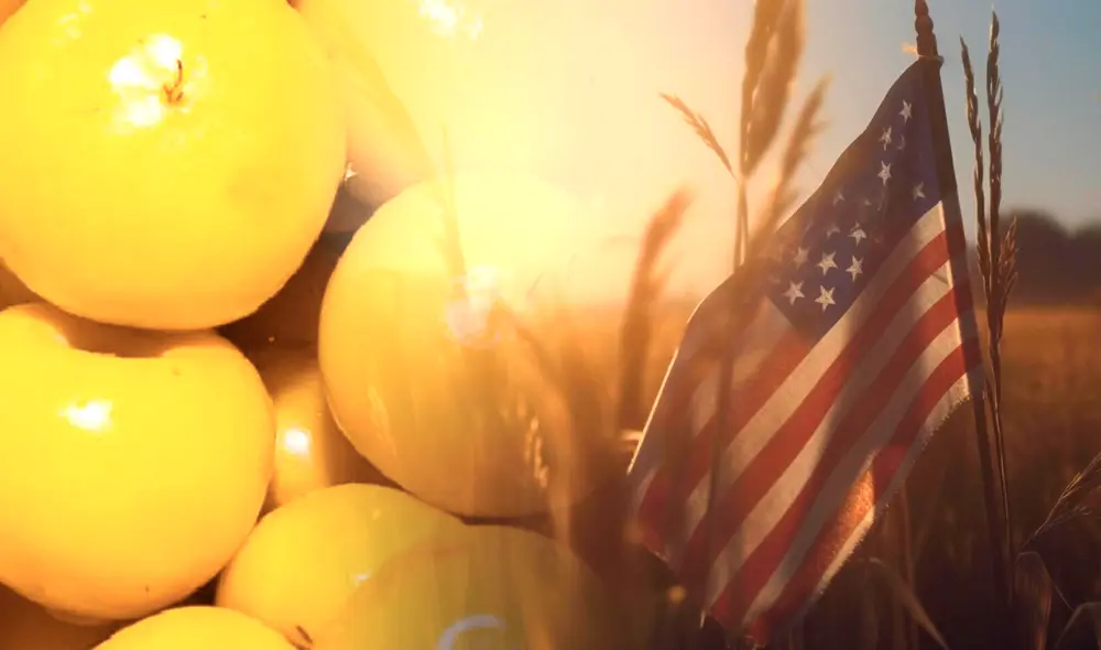 Así luce la novedosa 'Fruta de oro' con su inconfundible color amarillo | Lr / Composición Gerson Cardozo Así luce la novedosa 'Fruta de oro' con su inconfundible color amarillo | Lr / Composición Gerson Cardozo