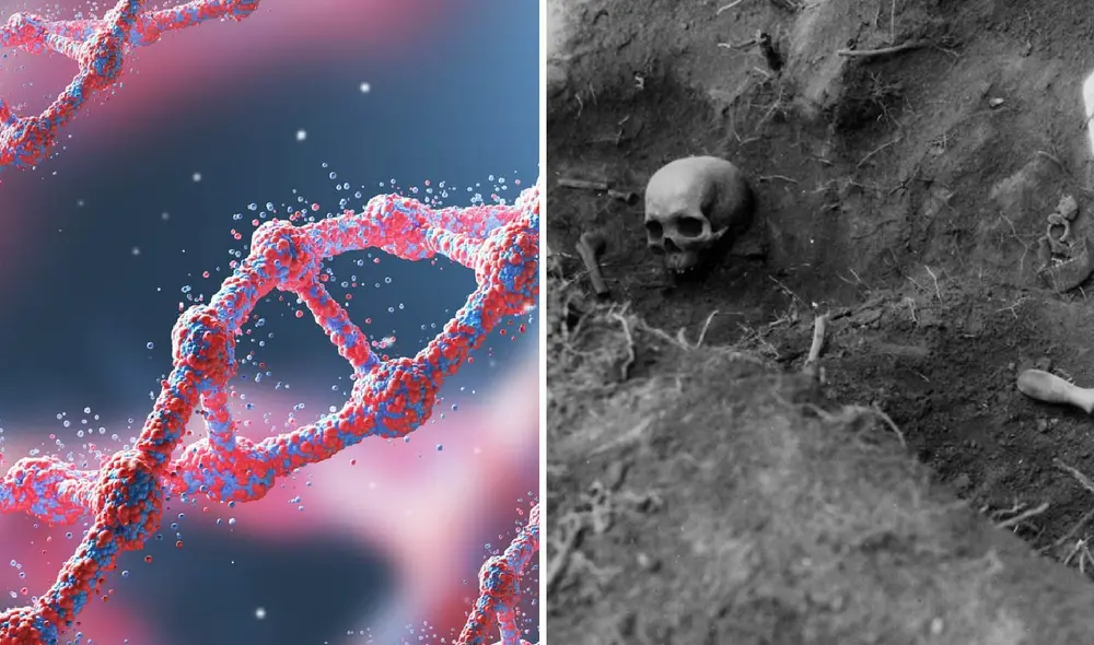 Un hallazgo arqueológico en Oakhurst, Sudáfrica, revela una civilización que habitó la región hace más de 10,000 años, con impresionante estabilidad genética. Foto: composición LR Un hallazgo arqueológico en Oakhurst, Sudáfrica, revela una civilización que habitó la región hace más de 10,000 años, con impresionante estabilidad genética. Foto: composición LR