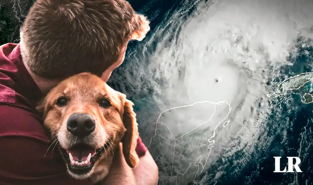 Conoce los refugios para ingresar con mascotas y evitar al letal huracán Milton | Composición Jazmine Ceras /Foto: La República/ AFP Conoce los refugios para ingresar con mascotas y evitar al letal huracán Milton | Composición Jazmine Ceras /Foto: La República/ AFP