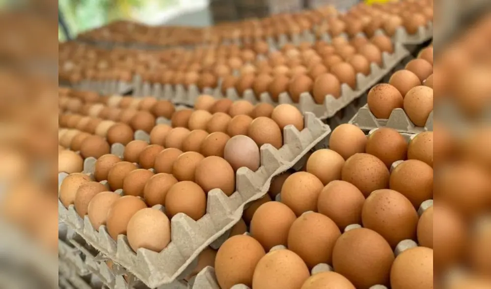 El kilo de huevos rosados bajó hasta los S/6,25 en Lima, cuando en julio superaba los S/8. Foto: Andina El kilo de huevos rosados bajó hasta los S/6,25 en Lima, cuando en julio superaba los S/8. Foto: Andina