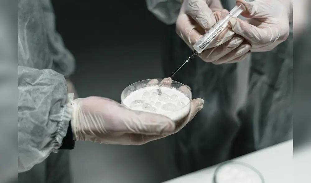 Inhibir la acción de la interleucina-11 ha demostrado mejorar el metabolismo y aumentar la esperanza de vida en un 25%, según ensayos en animales. Foto: Pexels