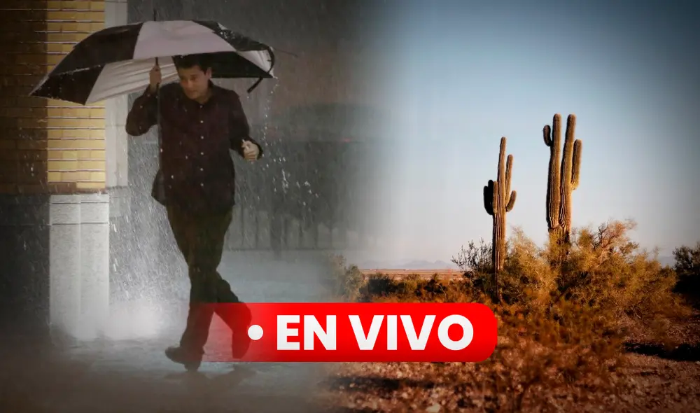 Consulta el clima en Texas hoy, 13 de octubre de 2024, según National Weather Service . Foto: Composición LR/Freepik Consulta el clima en Texas hoy, 13 de octubre de 2024, según National Weather Service . Foto: Composición LR/Freepik