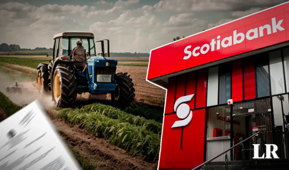 Manuel Talledo señala que en los reportes de SBS figura que le debe más de 600.000 dólares a Scotiabank.Foto: composición de Jazmín Ceras/La República/Scotiabank/Freepik