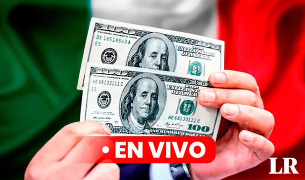 Precio del dólar en México hoy, 14 de octubre de 2024, según Banco de México. Foto: Composición LR/CDN/Freepik